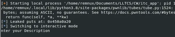 Demonstration of leaking through puts()